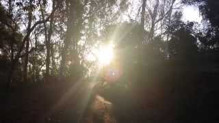 View the Morning video