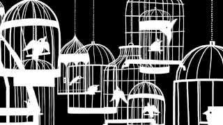 (Rock) Amy Raasch - Breath M