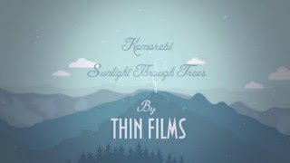 Play the Sunlight Through Trees video
