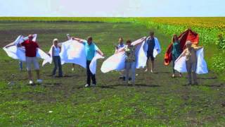 (Pop) Stewart Lane - Sails