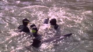 Watch the The Sea video