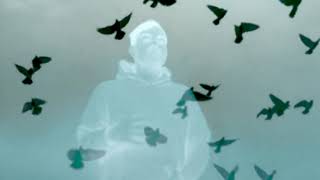 Play the Hovering video