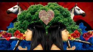 View the 3D video