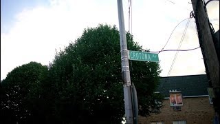 Watch the While You Can video