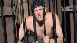 View the Everyday I Wonder video