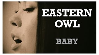 Eastern Owl - Baby