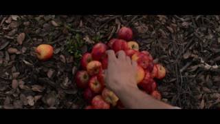 View the Empty Road video