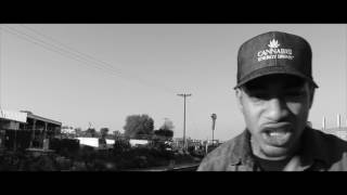 Watch the League Of My Own video