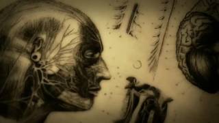 Watch the Your Choice video