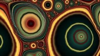 View the Go Your Way video