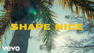 () Afro-B - Shape Nice(ft. Vybz Kartel, Dre Skull)