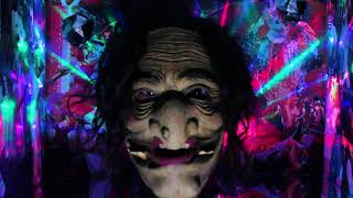 The Ducks - Disco Fox